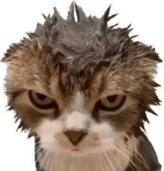 Wet_Cat_Tongue emote for Discord