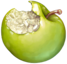 biten_apple emote for Discord