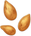 pumpkin_seeds emote for Discord