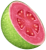 melon_fruit emote for Discord