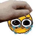 pat_sobemoji emote for Discord