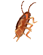 spinning_roach emote for Discord