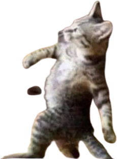 Catwalk emote for Discord