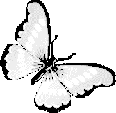 WhiteButterfly emote for Discord