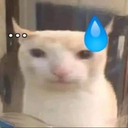 bruhcatsweat emote for Discord