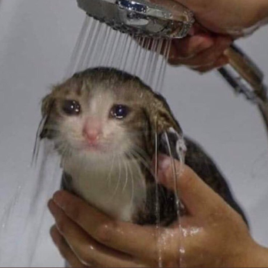 sad_wet_cat emote for Discord