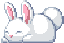 bunny emote for Discord