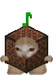 cat_musicbox emote for Discord