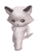 cat_dance emote for Discord