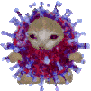 cat_covid emote for Discord