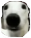 Leon emote for Discord