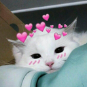 Uwuwcat emote for Discord