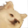 Le emote for Discord