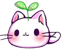 Catbeingcuet emote for Discord