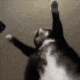Cm emote for Discord