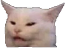 Cat emote for Discord