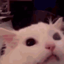 Ahhh emote for Discord