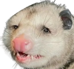StrugglePossum emote for Discord