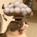 WHATDAHELL emote for Discord