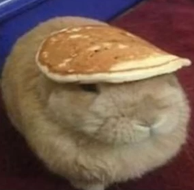 Coelhopanqueca emote for Discord