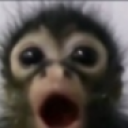 monkey emote for Discord