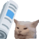Newspaper_cat emote for Discord