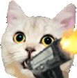 CatGun emote for Discord