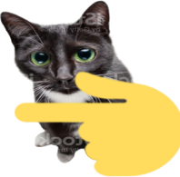 pointleftcat emote for Discord