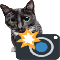 cameracat emote for Discord