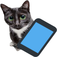 phonecat emote for Discord