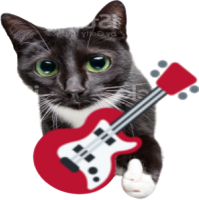guitarcat emote for Discord