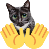 openhandscat emote for Discord