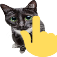 pointingupcat emote for Discord