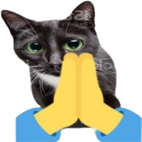 praycat emote for Discord