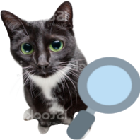 magnifyingglasscat emote for Discord