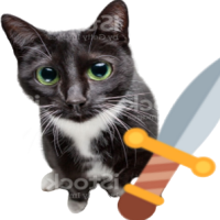 swordcat emote for Discord