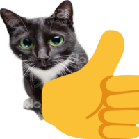 thumbsupcat emote for Discord