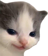 not_hell_cat static emote