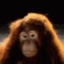 No_Monkey emote for Discord