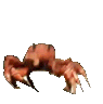 crabrave emote for Discord