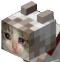 sad_minecraft_cat emote for Discord