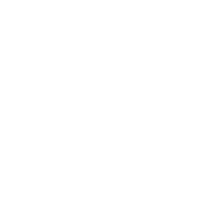 Spotify_Added emote for Discord