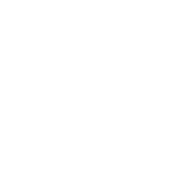 Spotify_Music_Disc emote for Discord