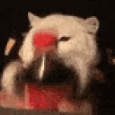 Coke_Shakey_Cat emote for Discord