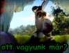 ottvagyunkmar emote for Discord