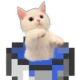 catinbucket emote for Discord