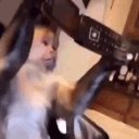monkey_hangsup emote for Discord