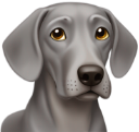 weimaraner emote for Discord