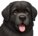 newfoundland emote for Discord