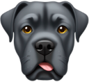 canecorso emote for Discord